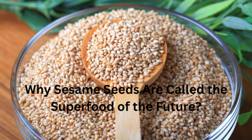 Buppa Import Export Co., Ltd