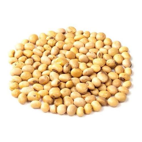 Yellow Soybean