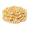 Round Yellow Soybean
