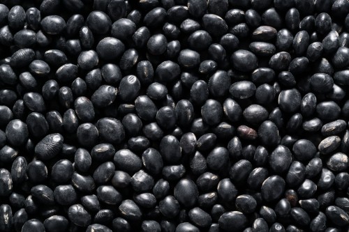 Best Selling Black Beans